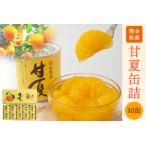 缶詰 甘夏 10缶