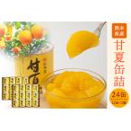 缶詰 甘夏 24缶