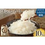 令和7年産 新米 コシヒカリ精米10kg 1袋