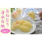 ふるさと納税 瞬間冷凍のおねむり果実 清水白桃2個セット 岡山県新見市
