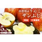 ふるさと納税 りんご 5kg「サンふじ」 秀品 (14玉から20玉) 《家庭用》山形県産【2025年11月中旬頃から12月頃発送予定】/ お取り寄せ ご当地 .. 山形県寒河江市