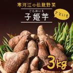 令和8年産 やまがた伝統野菜 子姫芋 里芋 3kg