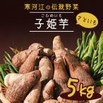 令和8年産 やまがた伝統野菜 子姫芋 里芋 5kg