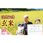 ふるさと納税 玄米「はえぬき」 10kg(5kg×2袋) 山形県産 2024年産 令和6年産 山形産【 米 玄米 国産 健康 ヘルシー こめ ご飯 ごはん .. 山形県寒河江市
