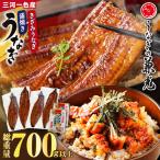三河一色産うなぎ蒲焼き4尾+きざみうなぎ2食入り×2パック