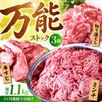 佐賀牛 A5 万能ストック3種セットA 切り落とし 500g