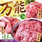 佐賀牛 A5 万能ストック3種セットA 切り落とし 500g