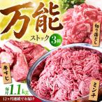佐賀牛 A5 万能ストック3種セットA 切り落とし 500g