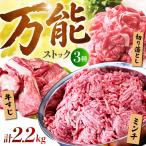 佐賀牛 A5 万能ストック3種セットB 切り落とし 1kg