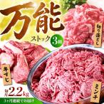 佐賀牛 A5 万能ストック3種セットB 切り落とし 1kg