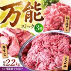 佐賀牛 A5 万能ストック3種セットB 切り落とし 1kg
