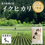 内農米 イクヒカリ 5kg