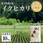 内農米ハナエチゼン 10kg