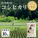 内農米 コシヒカリ 10kg