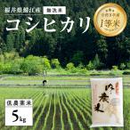 内農米 コシヒカリ 無洗米 5kg