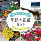 花苗 セット 8 10 ポット ガーデニング 寄せ植え