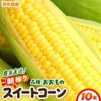 朝採り スイートコーン 黄色 計10本