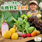野菜セット 10品目 旬 有機 野菜 定期便