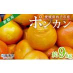 訳あり ワケアリ 果物 くだものミカン 蜜柑