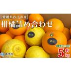 果物 フルーツ みかん ミカン 蜜柑 オレンジ