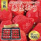 まるで宝石 希少な大粒サイズを2倍の量で