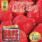 まるで宝石 希少な大粒サイズ 完熟あまおう
