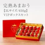 ★福岡の産直いちご農家★武下さんちの