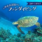 沖永良部島のファンダイビング 2ボートダイブ