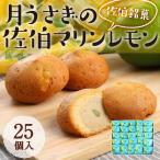 月うさぎの佐伯マリンレモン 計25個