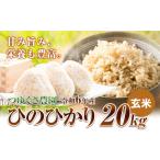 令和7年産 ひのひかり 白米 20kg
