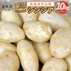 濃厚しっとり食感 ジャガイモ シンシア 10kg