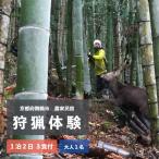 狩猟体験 1泊2日 3食付 大人1人 農家民宿