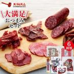大満足 セット 6種類 サラミソーセージ ビーフジャーキー