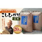 米 こしひかり 玄米 10kg×2袋