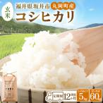 コシヒカリ5kg×12回 合計60kg