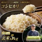 減農薬 減化学肥料栽培 西会津産米 ゆうだい21