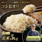 減農薬 減化学肥料栽培 西会津産米 ゆうだい21
