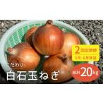 5月 白石玉ねぎ 10kg