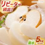 梨 豊水 約5kg