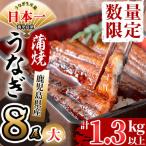 伊崎田のうなぎ蒲焼 大 8尾