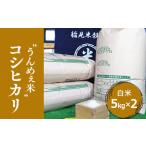 産コシヒカリ 白米 5kg×2袋