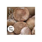 生しいたけ 無選別1kg◇