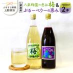 梅ジュース ブルーベリージュース 720ml×2本