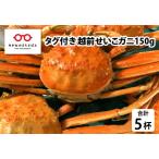 タグ付き越前せいこガニ 150g前後