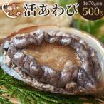 瀬戸内あわび 活 500g