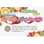 ふるさと納税 【定期便3回】野菜ソムリエの選ぶ日本の地中海、瀬戸内海の旬の果物 香川県坂出市