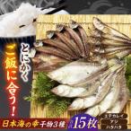 干物 詰め合わせ セット 15枚