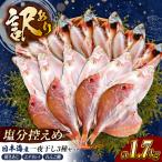 訳あり 干物セット 1.7kg