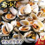 貝 山陰の冬の味覚 中海産 赤貝 サルボウガイ 1kg