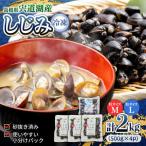 しじみ 宍道湖産冷凍大和しじみ L 500g×1袋+